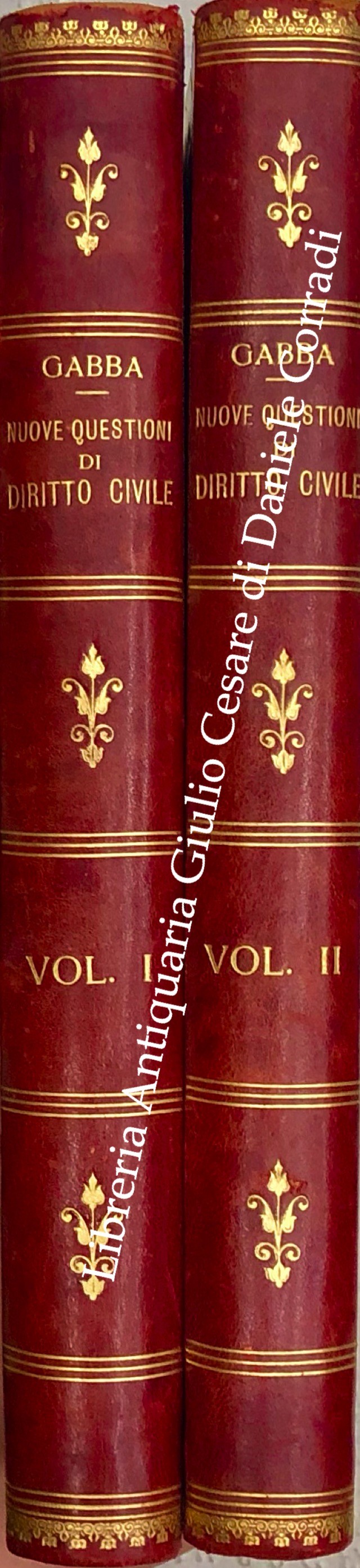 Nuove questioni di diritto civile