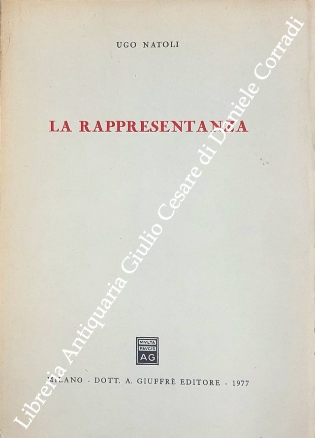 La rappresentanza