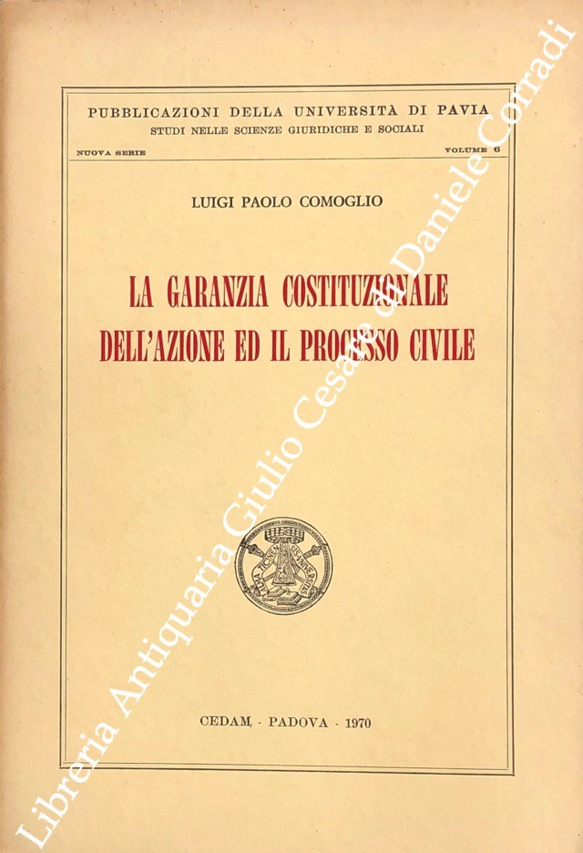 La garanzia costituzionale dell'azione