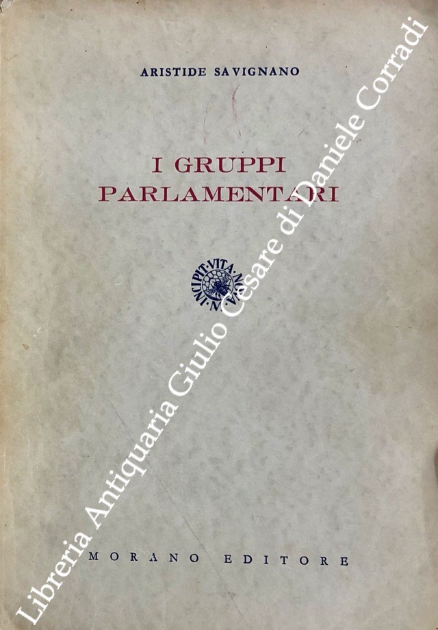 I gruppi parlamentari