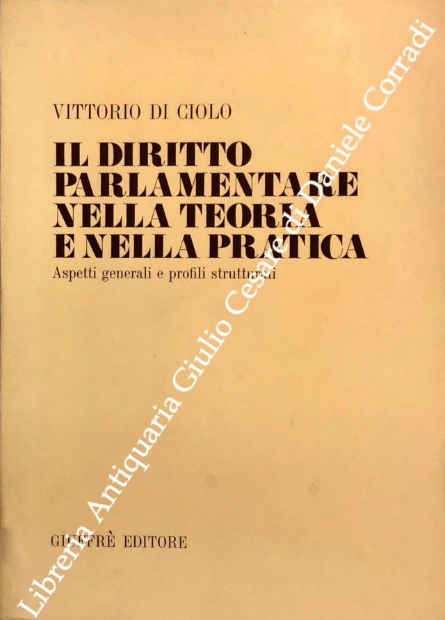 Il diritto parlamentare nella teoria e nella pratica