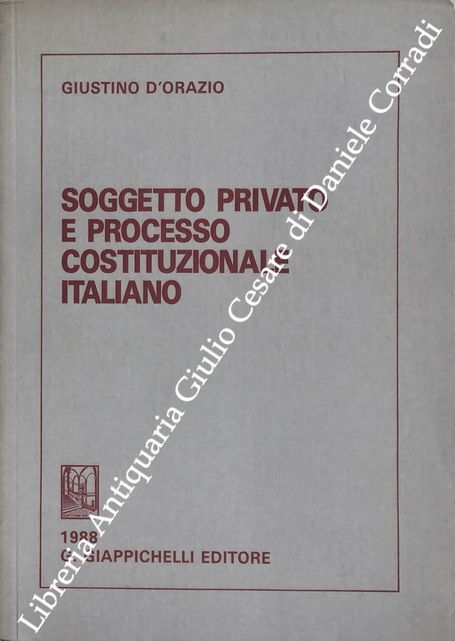 Soggetto privato e processo costituzionale italiano