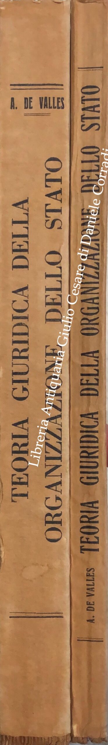 Teoria giuridica della organizzazione dello stato