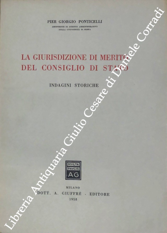 La giurisdizione di merito del Consiglio di Stato