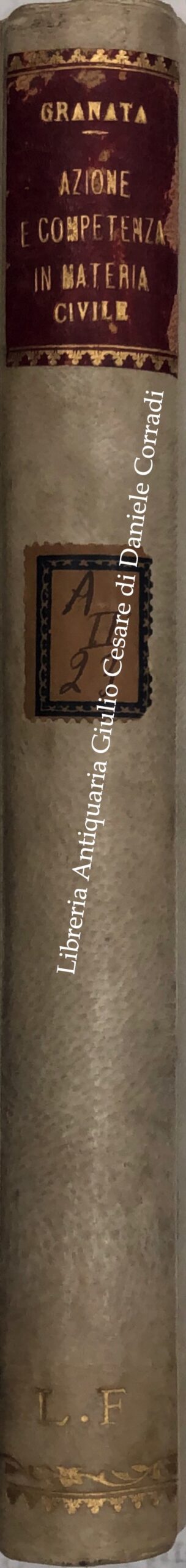 I nuovi orizzonti del diritto giudiziario