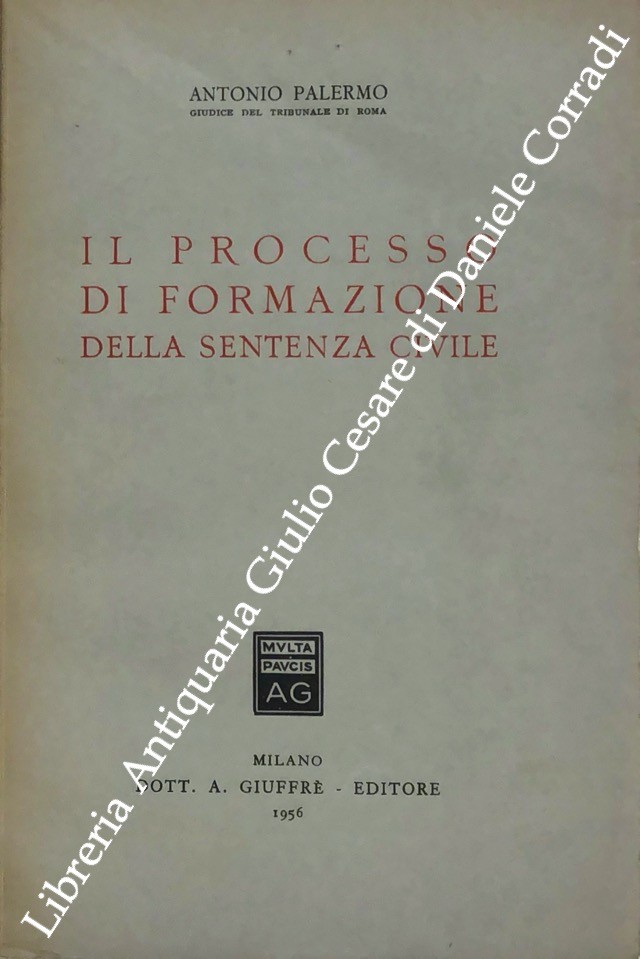 Il processo di formazione della sentenza civile