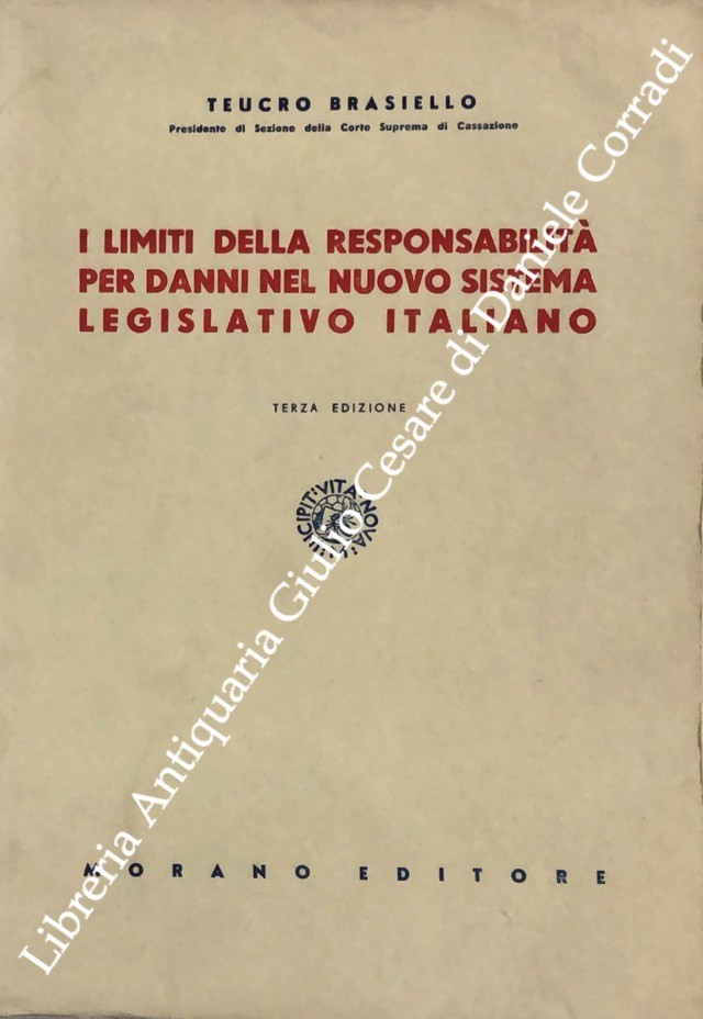 I limiti della responsabilità per danni