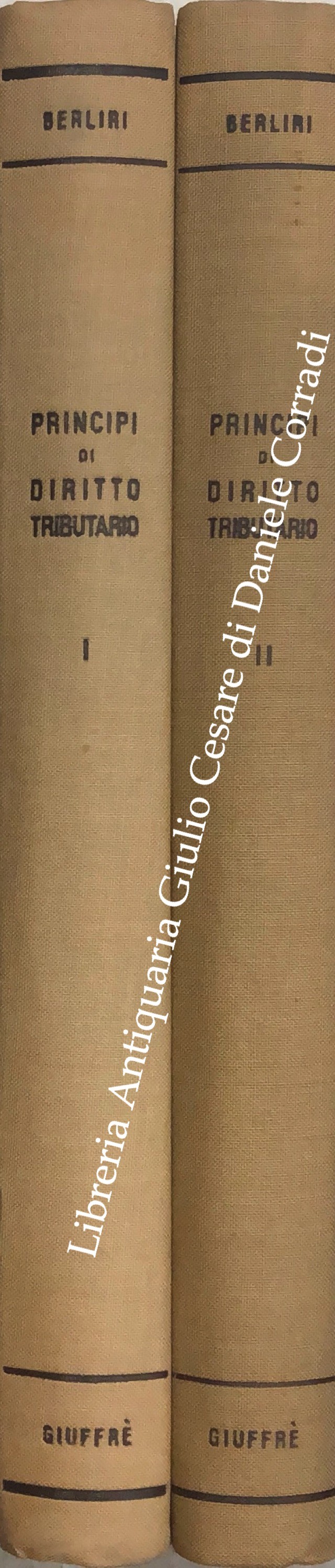 Principi di diritto tributario