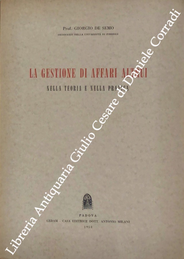 La gestione di affari altrui nella teoria e nella pratica