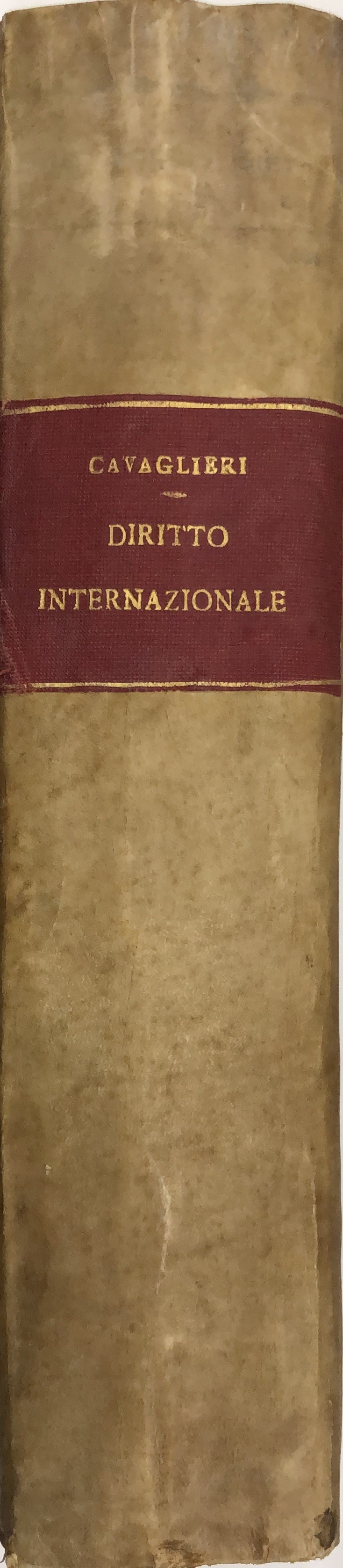 Lezioni di diritto internazionale. Parte generale