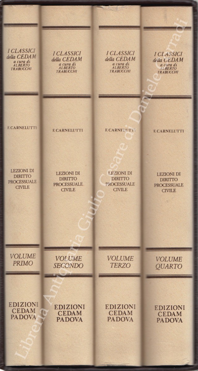 Lezioni di diritto processuale civile