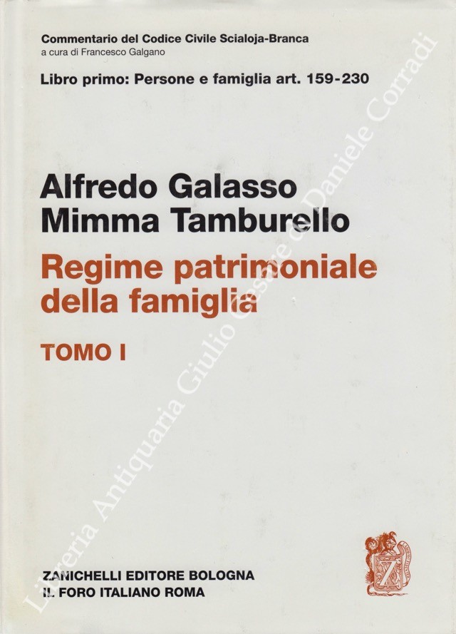 Del regime patrimoniale della famiglia