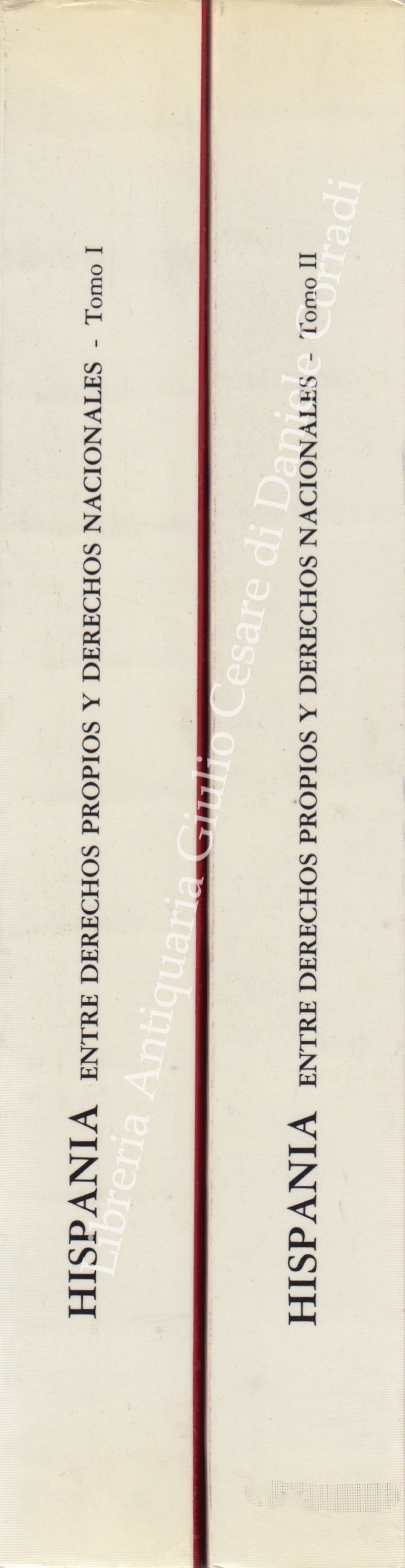 Hispania entre derechos propios y derechos nacionales