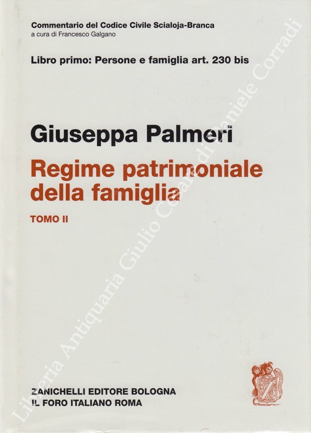 Del regime patrimoniale della famiglia. Art. 230 bis