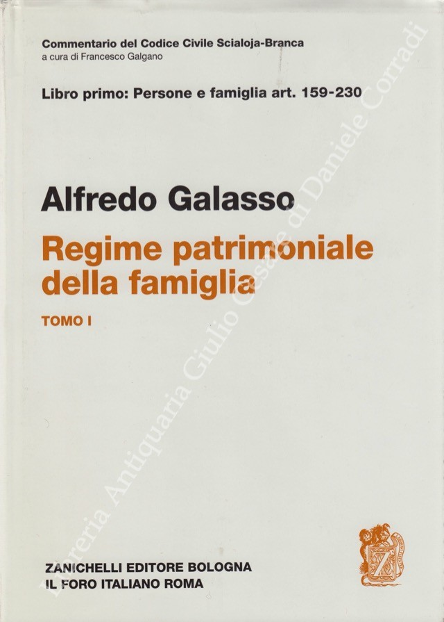 Del regime patrimoniale della famiglia