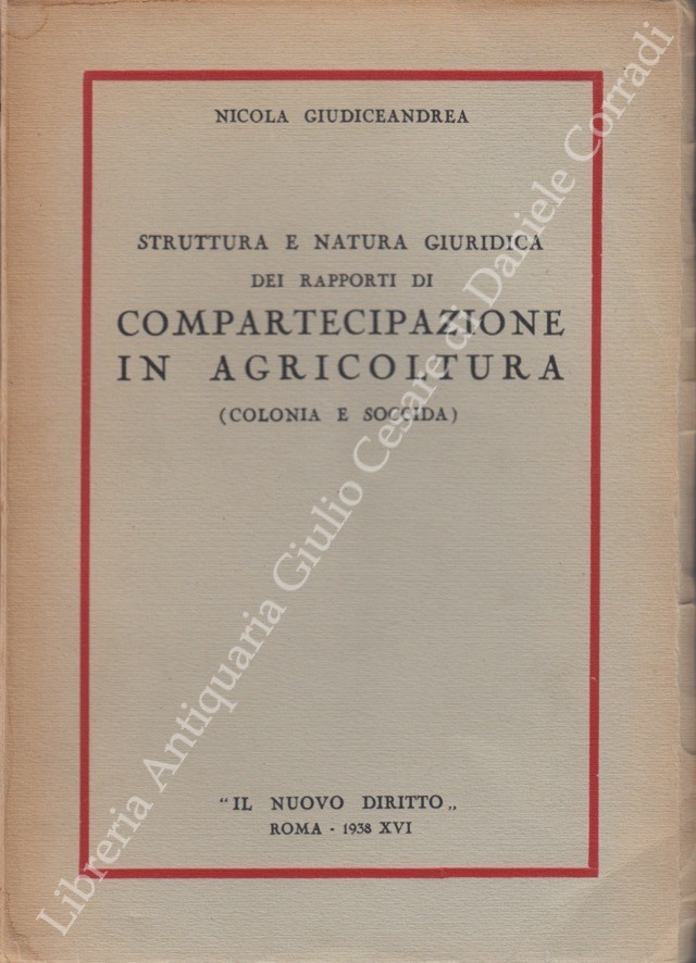 Struttura e natura giuridica dei rapporti di compartecipazione