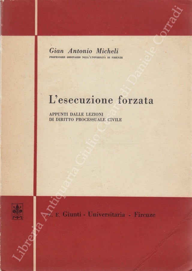 L'esecuzione forzata