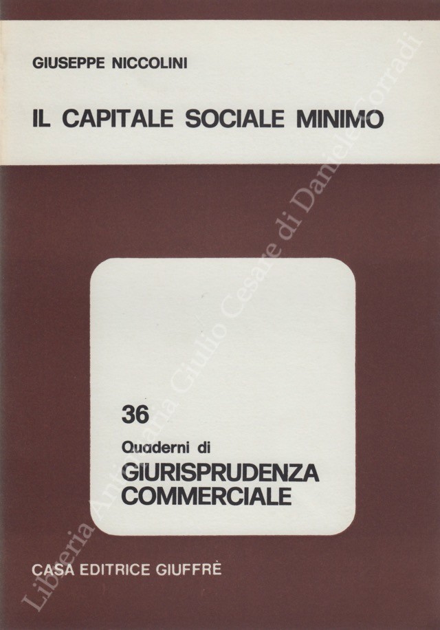 Il capitale sociale minimo