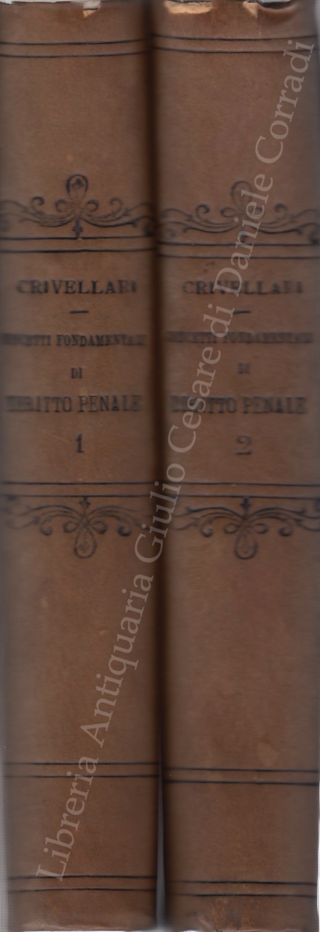 Concetti fondamentali di diritto penale