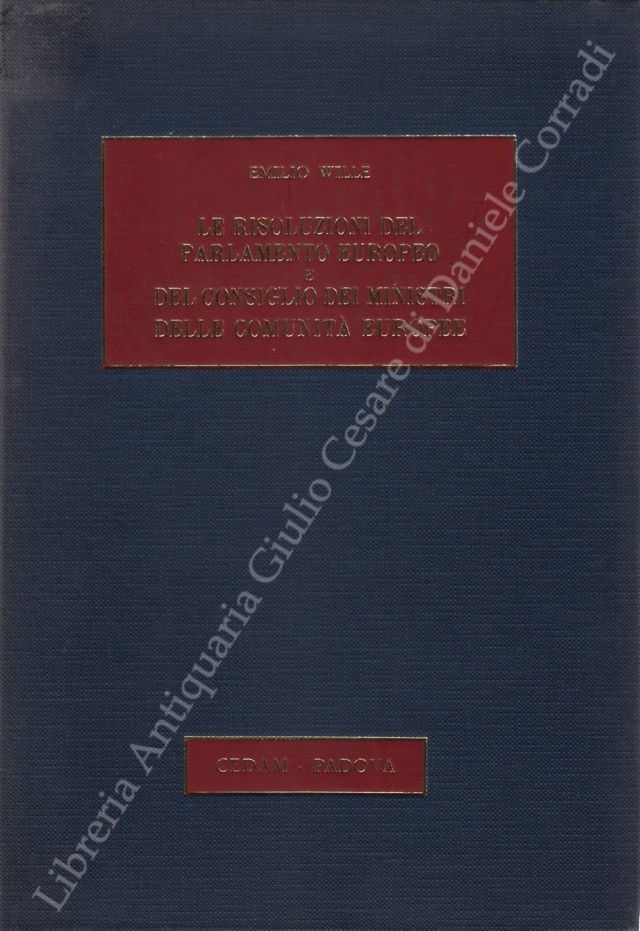 Le risoluzioni del Parlamento Europeo