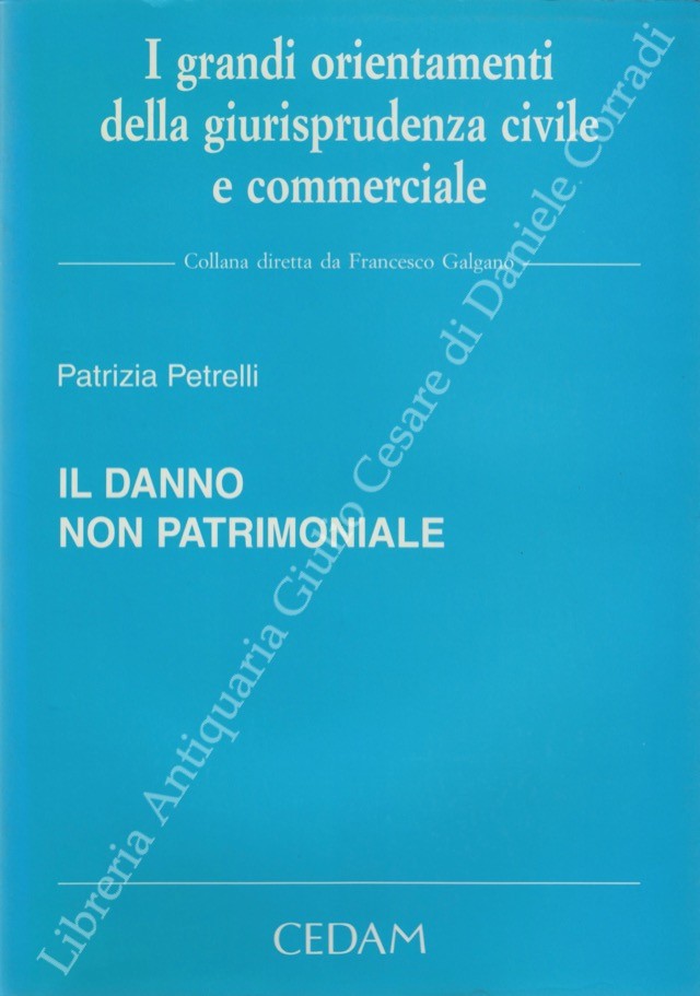 Il danno non patrimoniale
