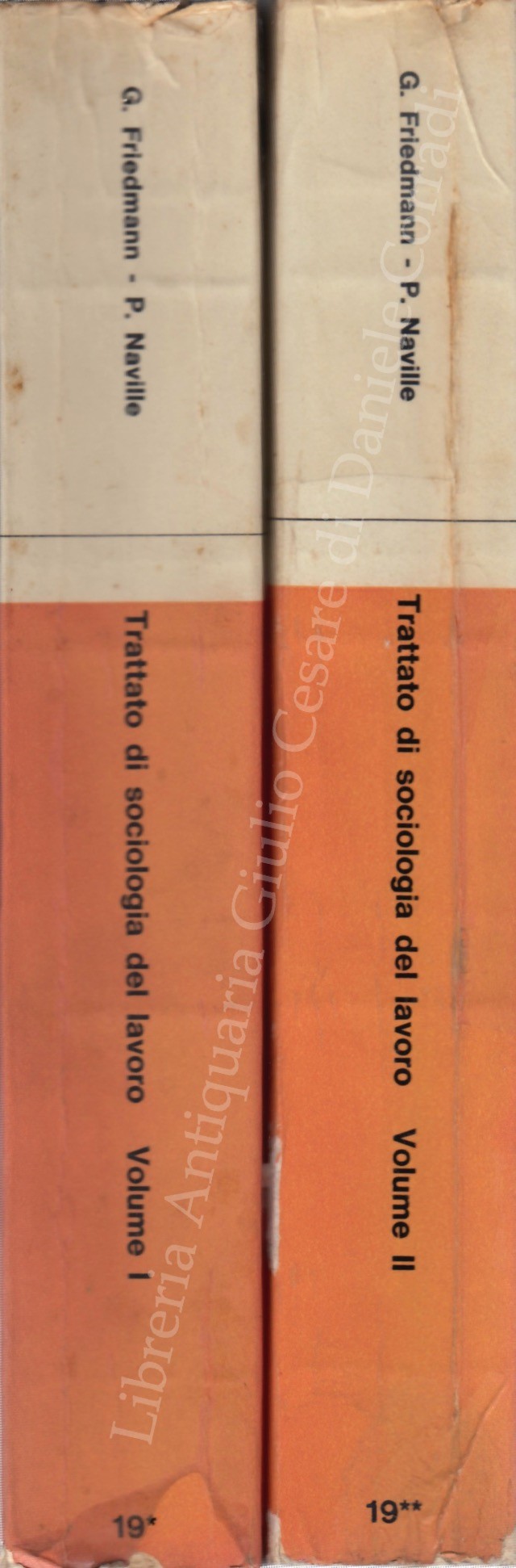 Trattato di sociologia del lavoro