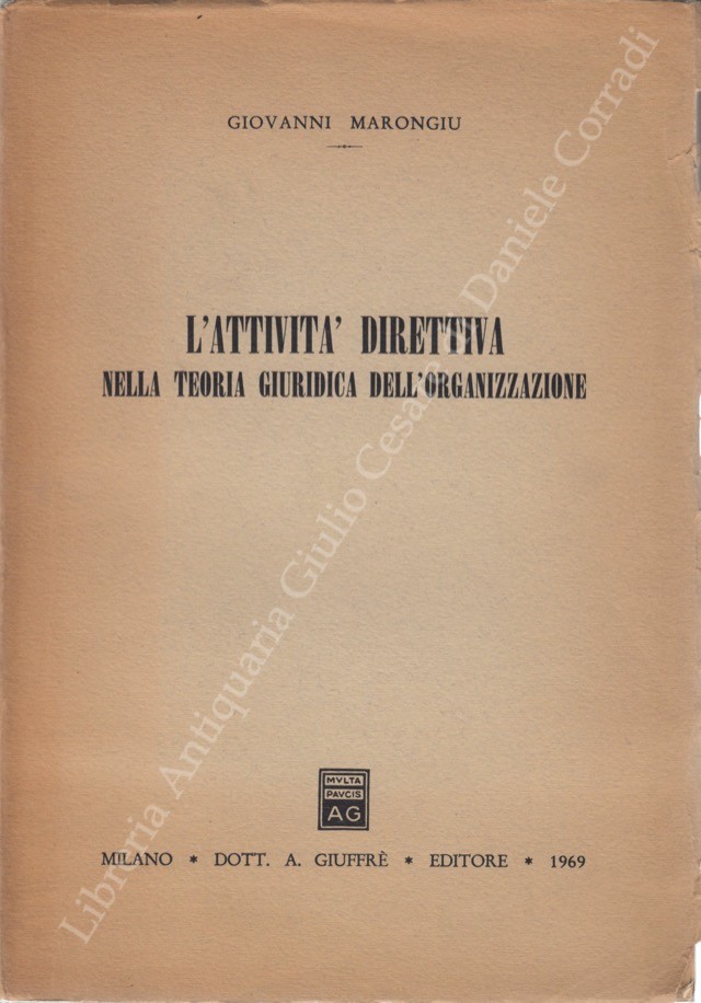 L'attività direttiva nella teoria giuridica dell'organizzazione