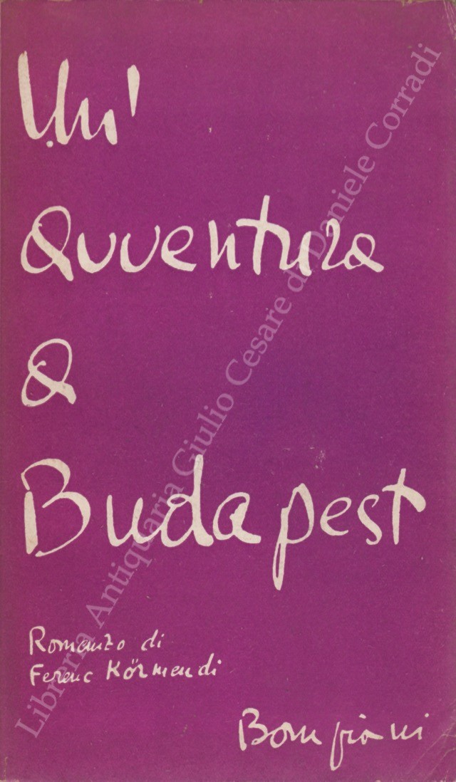 Un'avventura a Budapest