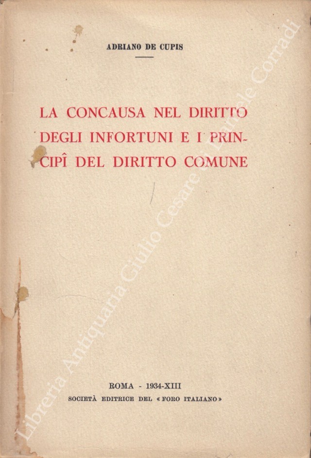 La concausa nel diritto degli infortuni