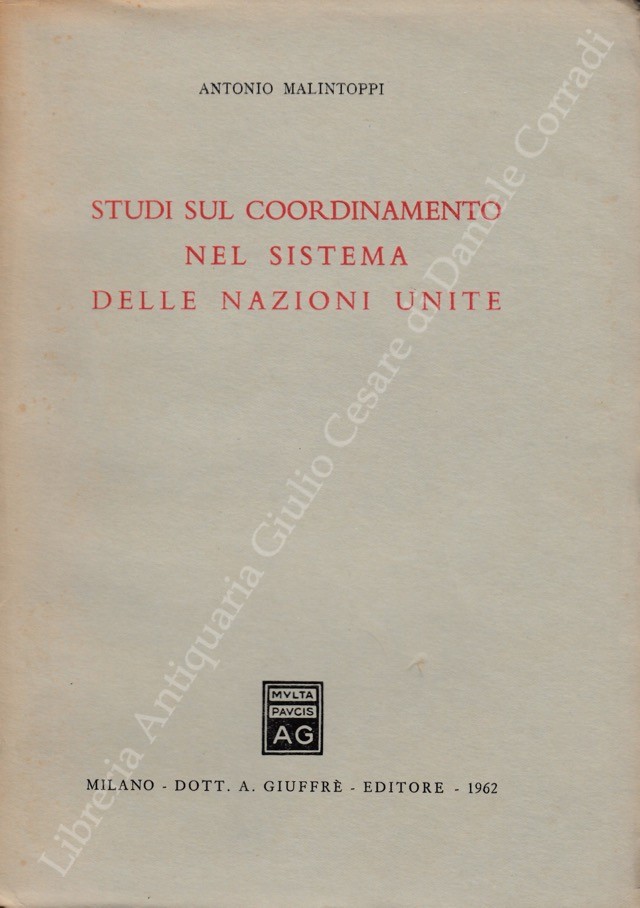 Studi sul coordinamento nel sistema delle Nazioni Unite