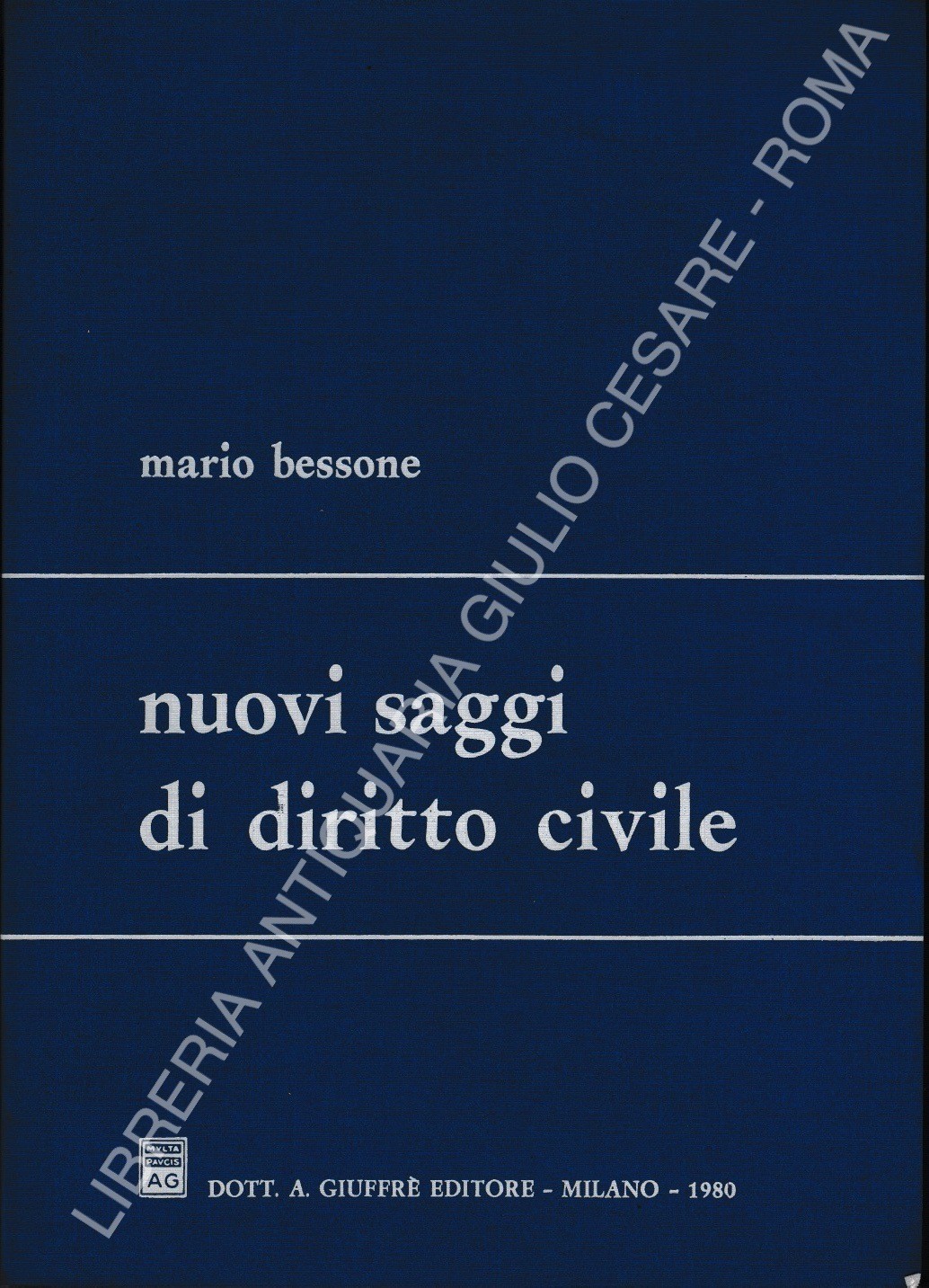 Nuovi saggi di diritto civile