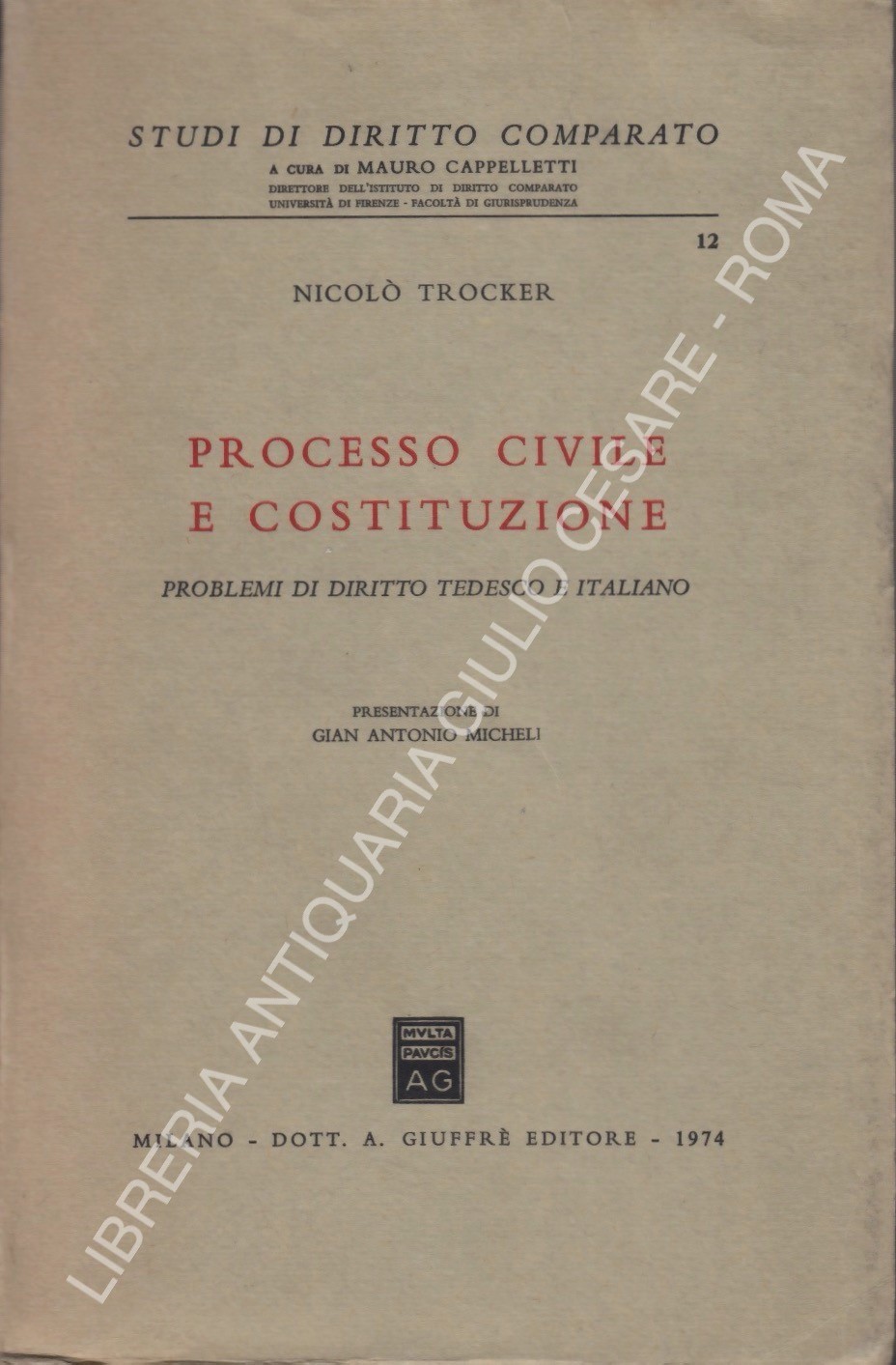 Processo civile e costituzione