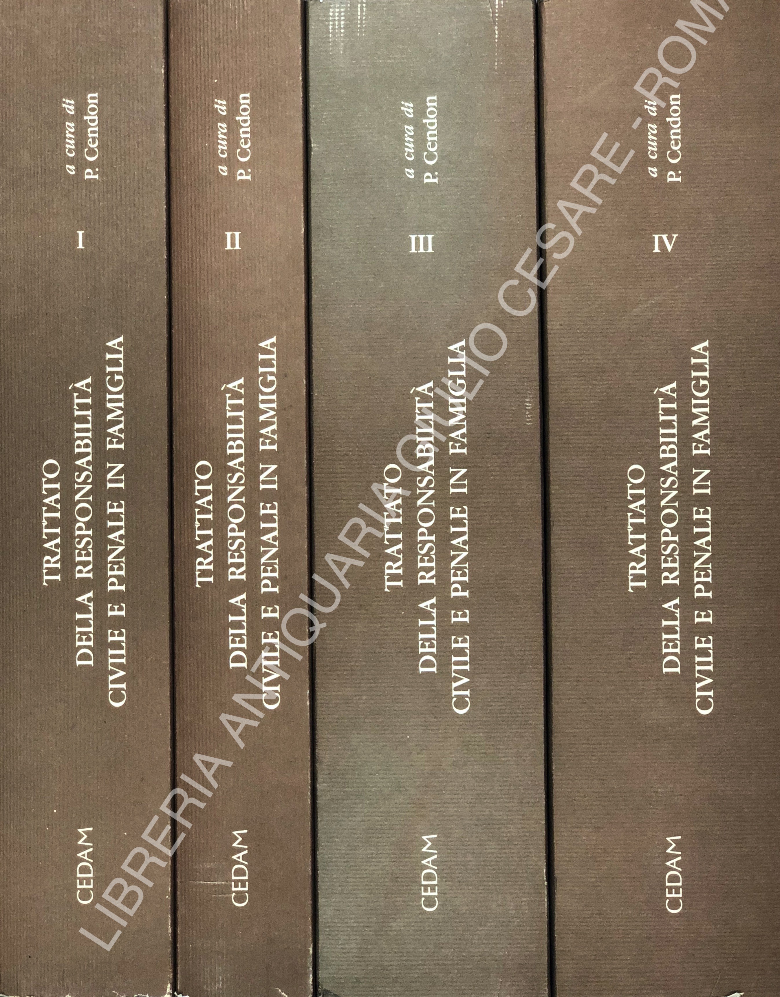 Trattato della responsabilità civile e penale in famiglia