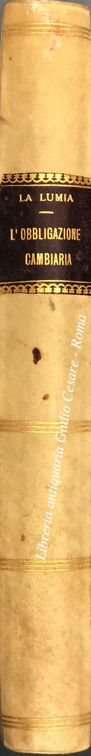 L'obbligazione cambiaria e il suo rapporto fondamentale