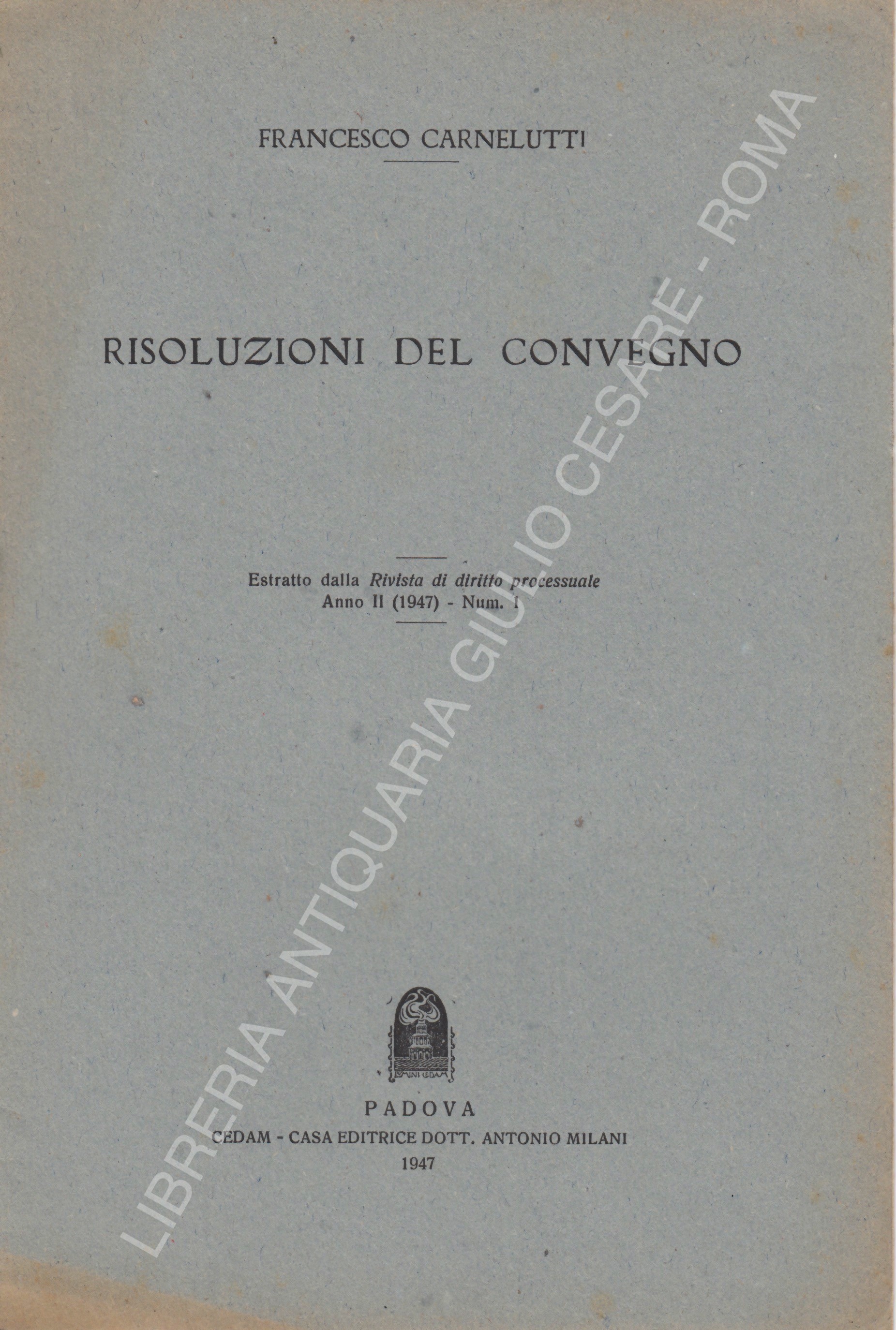 Risoluzioni del convegno