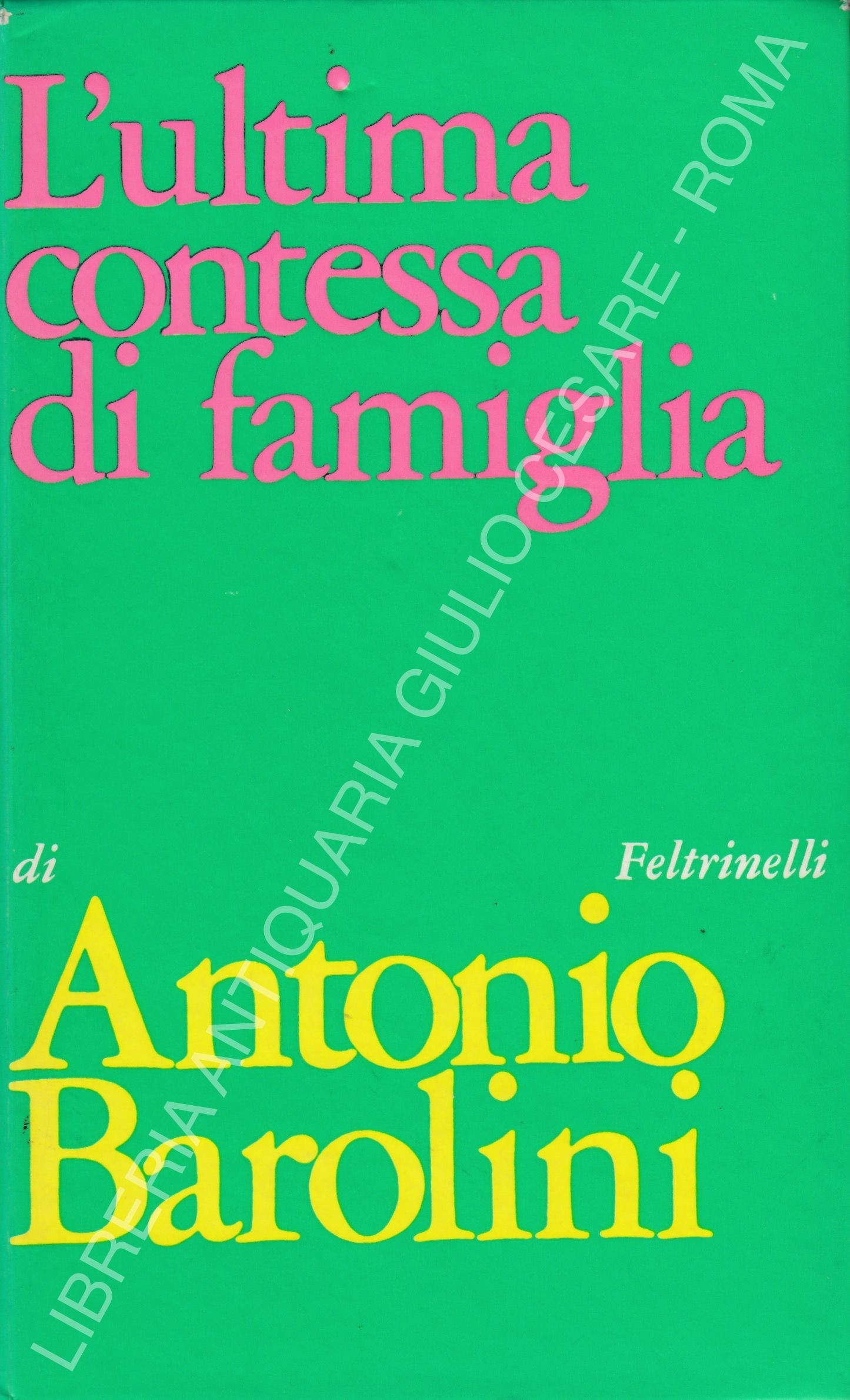 L'ultima contessa di famiglia