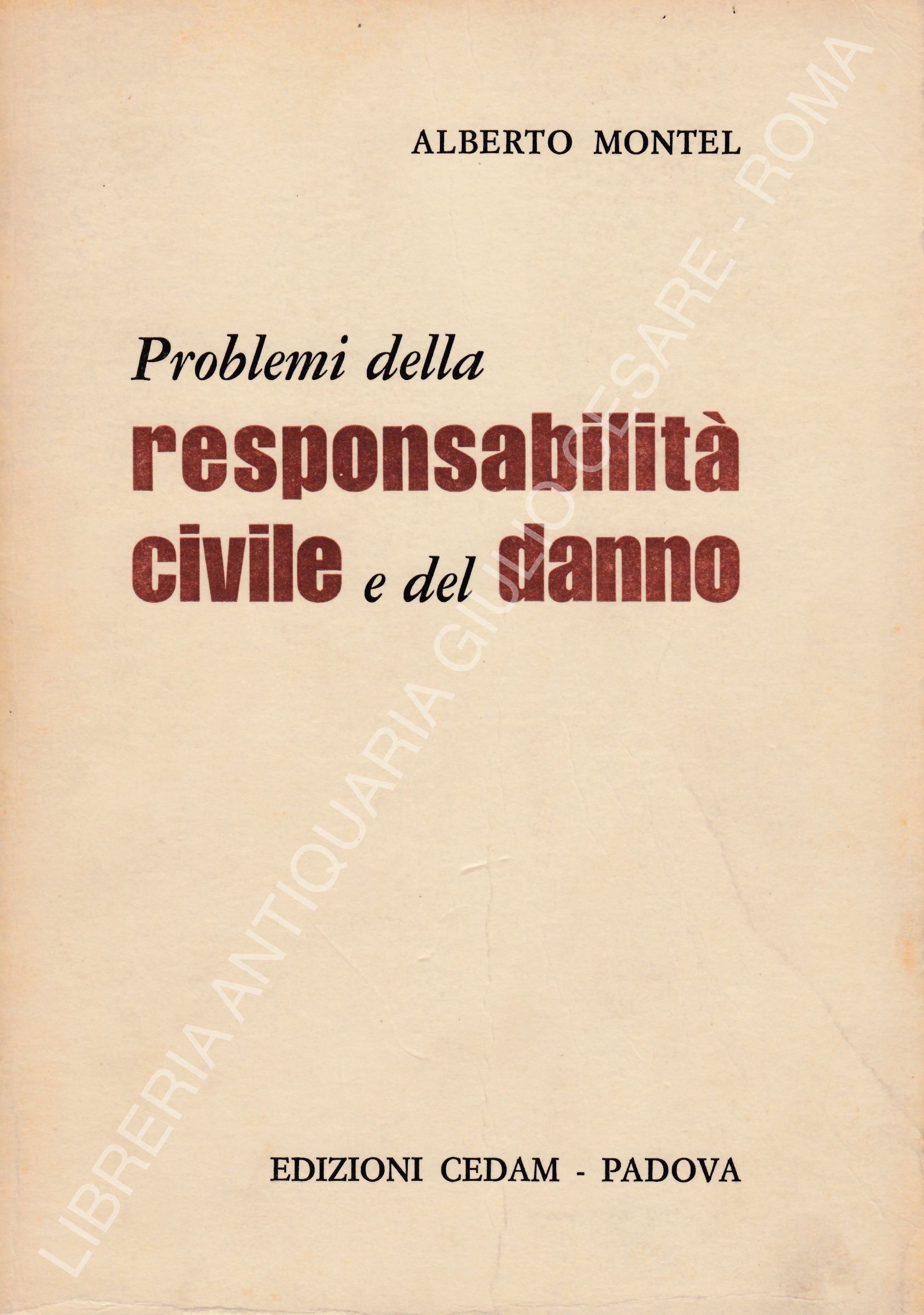 Problemi della responsabilità civile e del danno