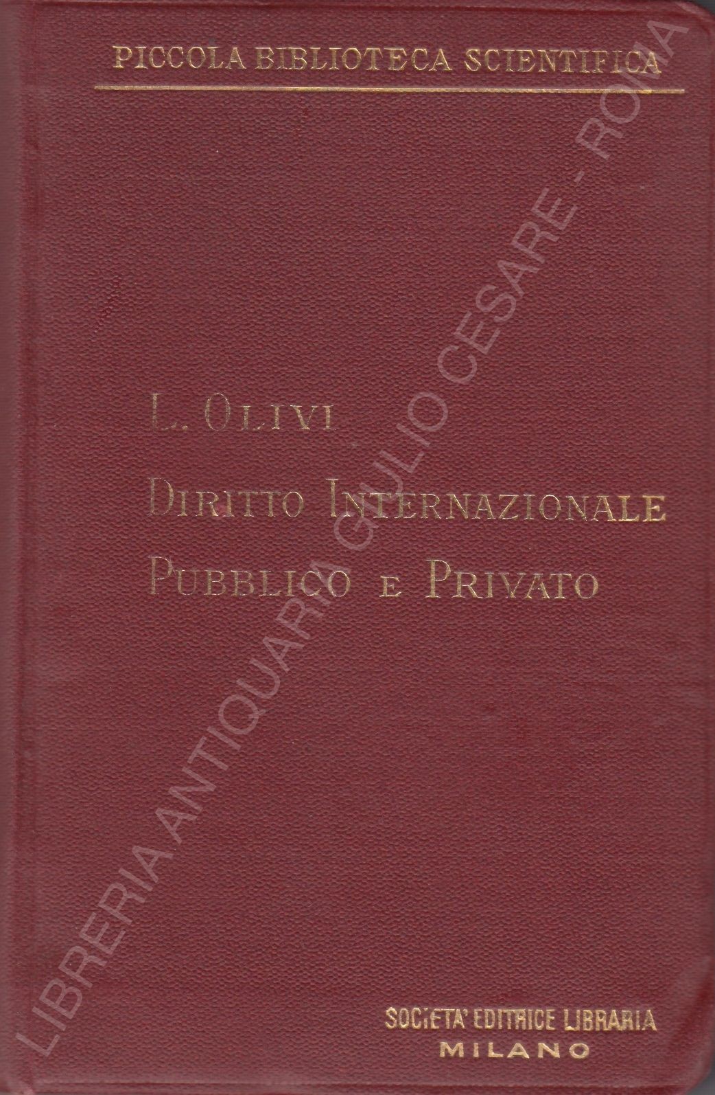 Manuale di diritto internazionale pubblico e privato