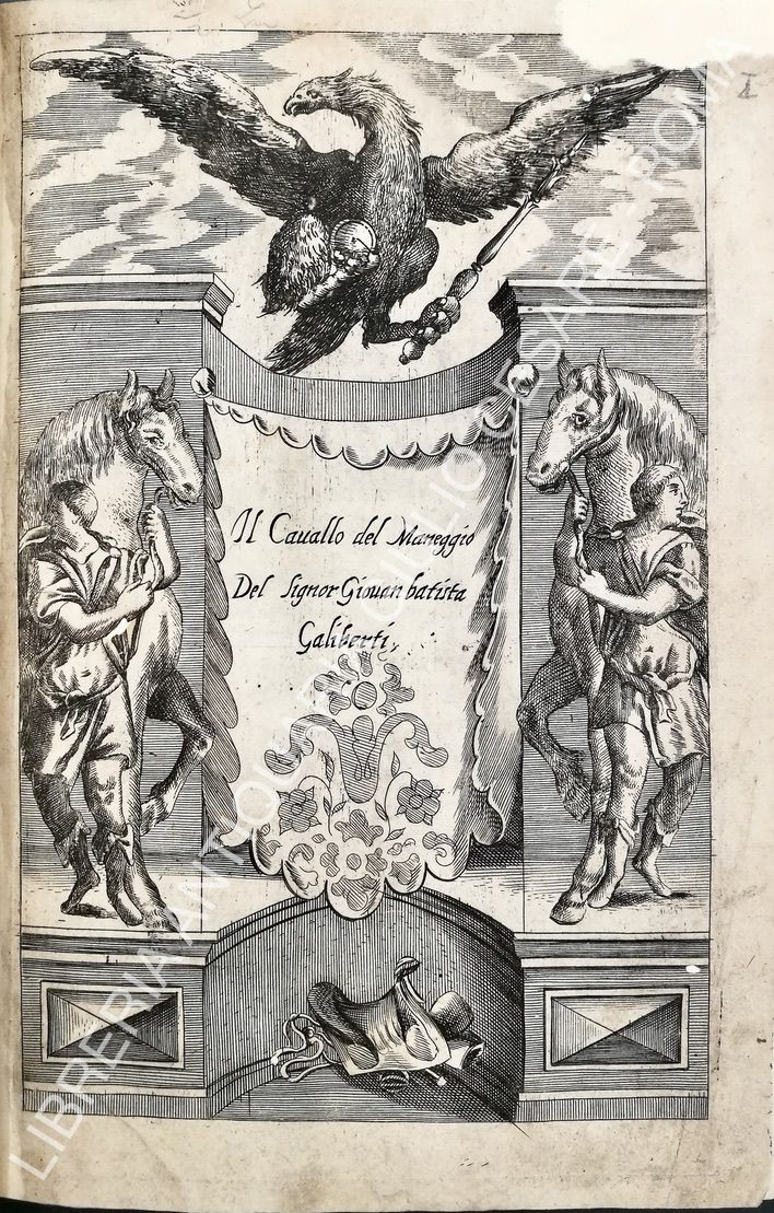 Il cavallo del maneggio