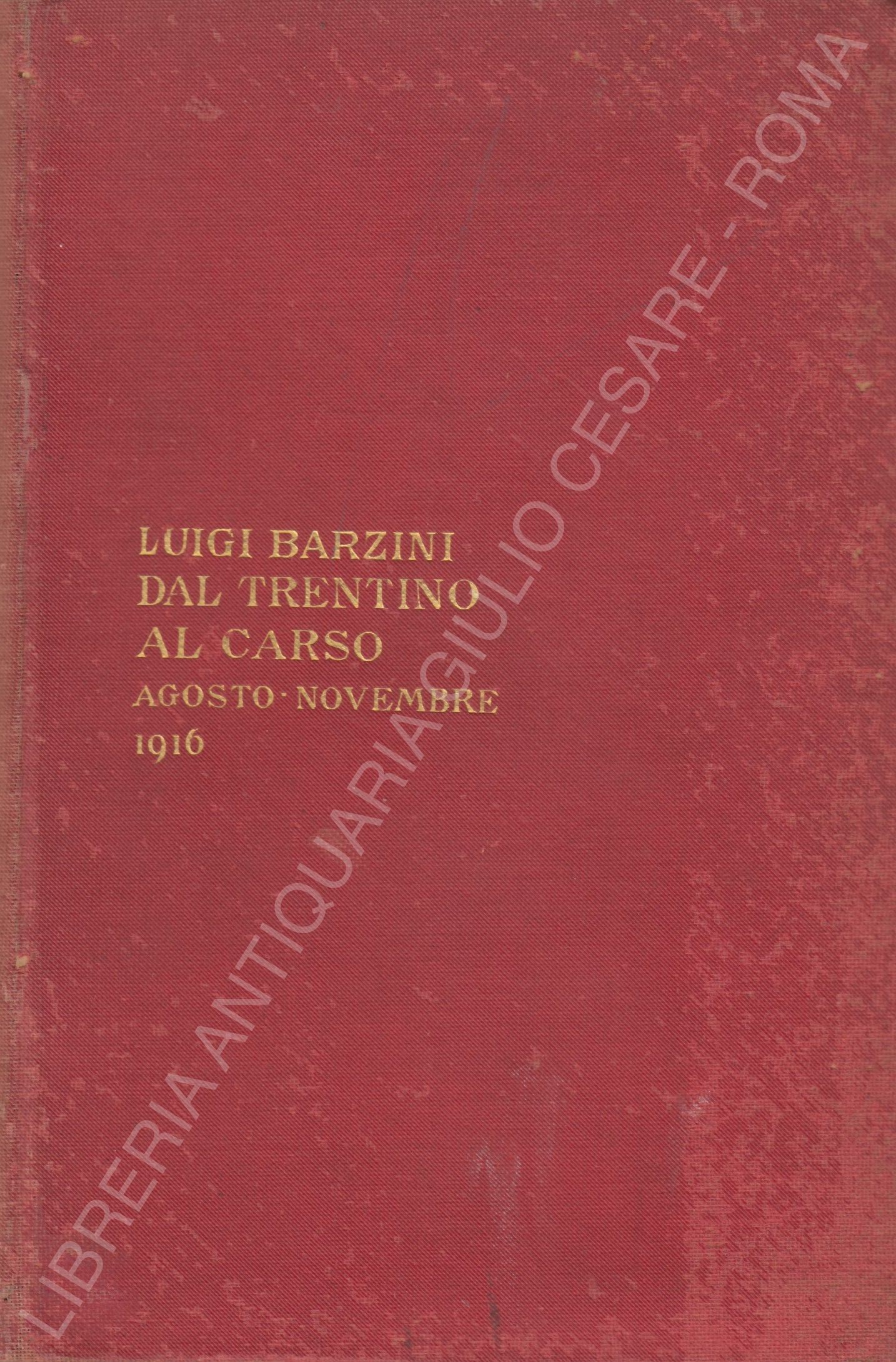 La guerra d'Italia. Dal Trentino al Carso