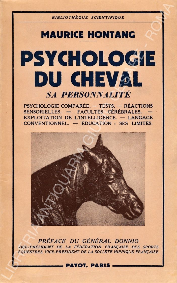 Psychologie du cheval