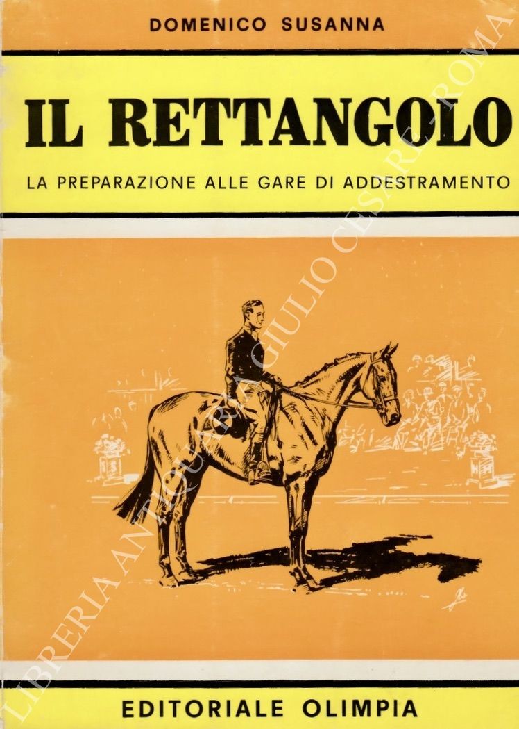 Il rettangolo