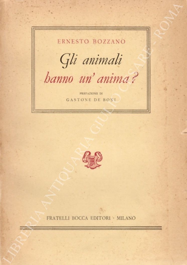 Gli animali hanno un'anima?