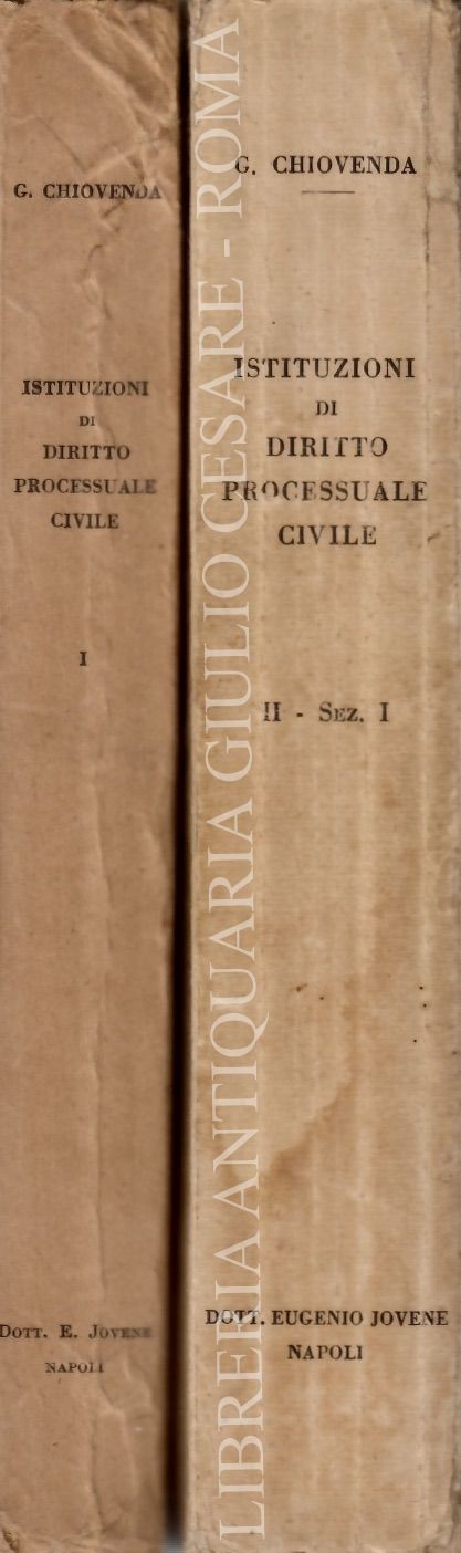 Istituzioni di diritto processuale civile