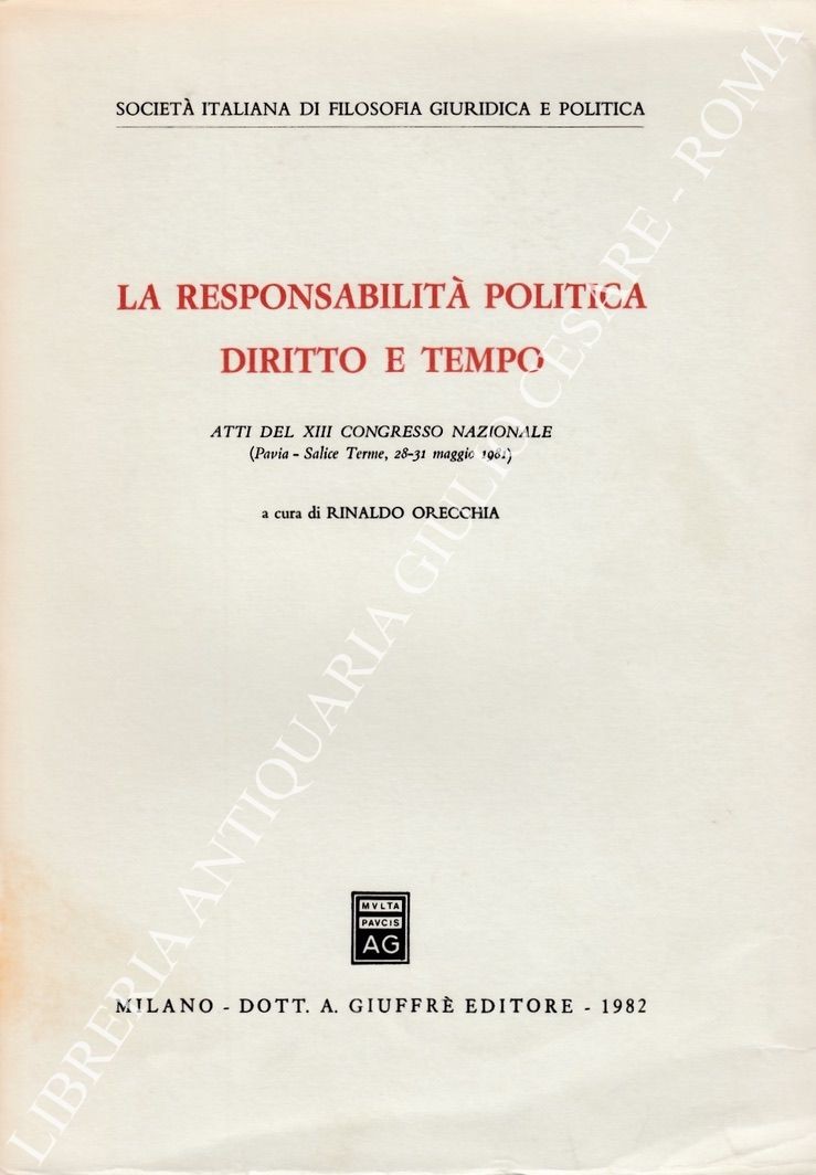 La responsabilità politica