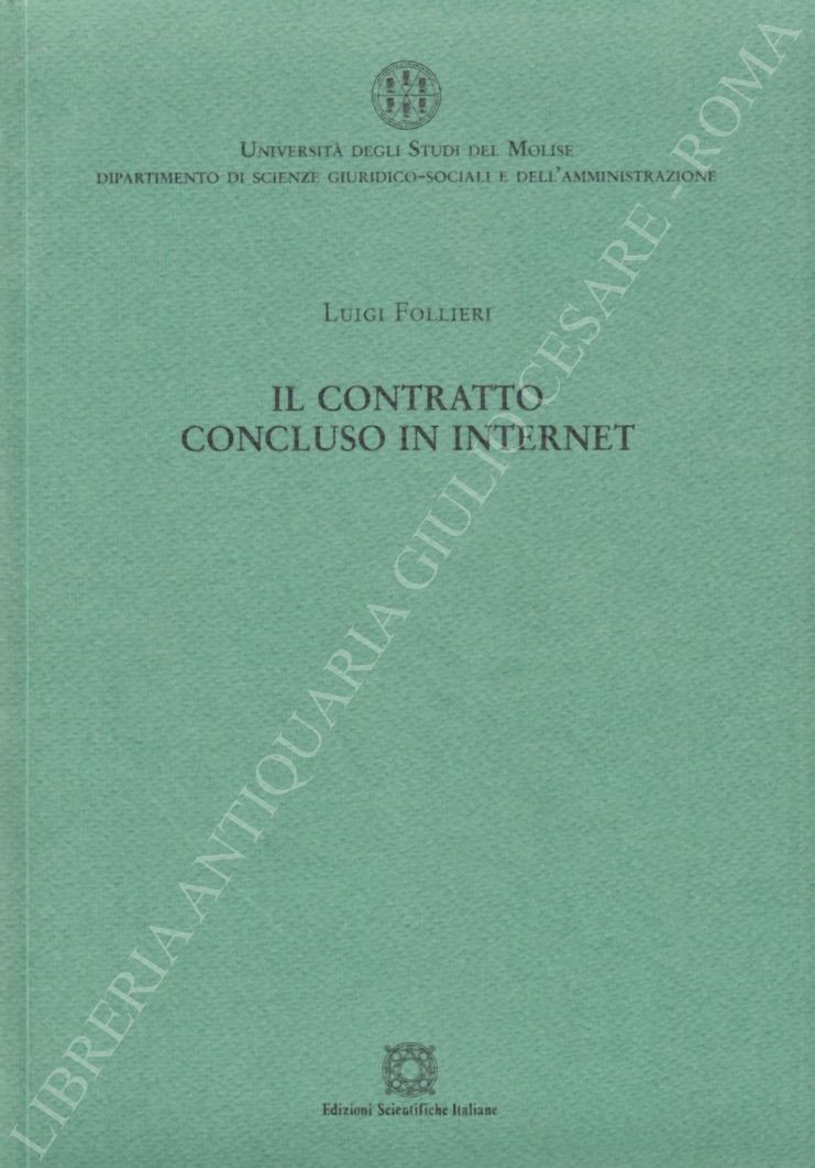 Il contratto concluso in internet