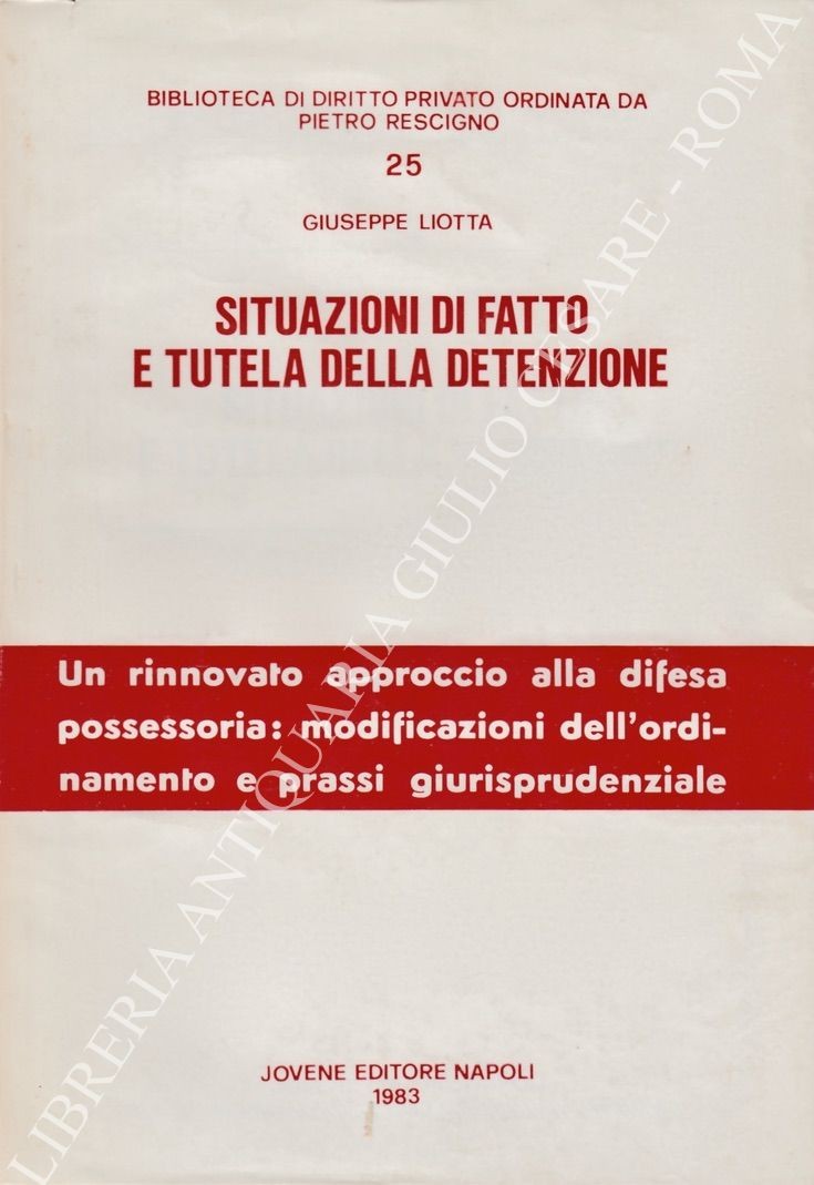 Situazioni di fatto e tutela della detenzione