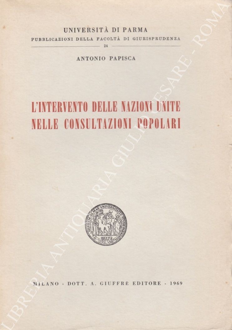 L'intervento delle Nazioni Unite