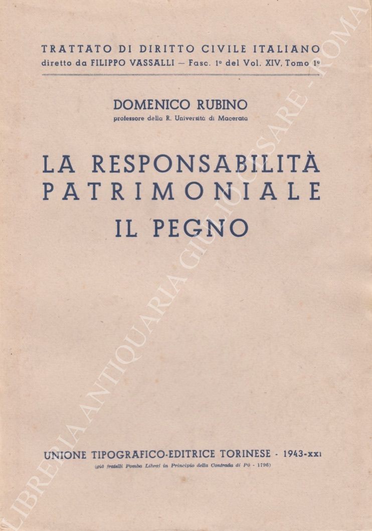 La responsabilità patrimoniale. Il pegno