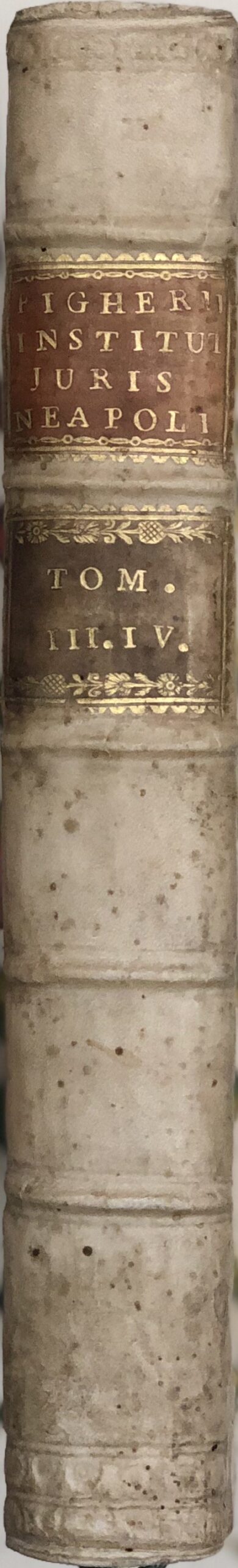 Institutiones iuris regni neapolitani